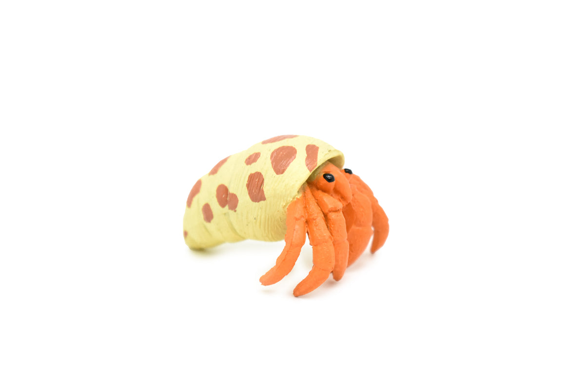 Hermit Crab, Plastic Crustaceans Design, Educational, Hand Painted, Toy, Kids, Realistic Figure, Lifelike Model, Gift,     2"      CWG236 B306
