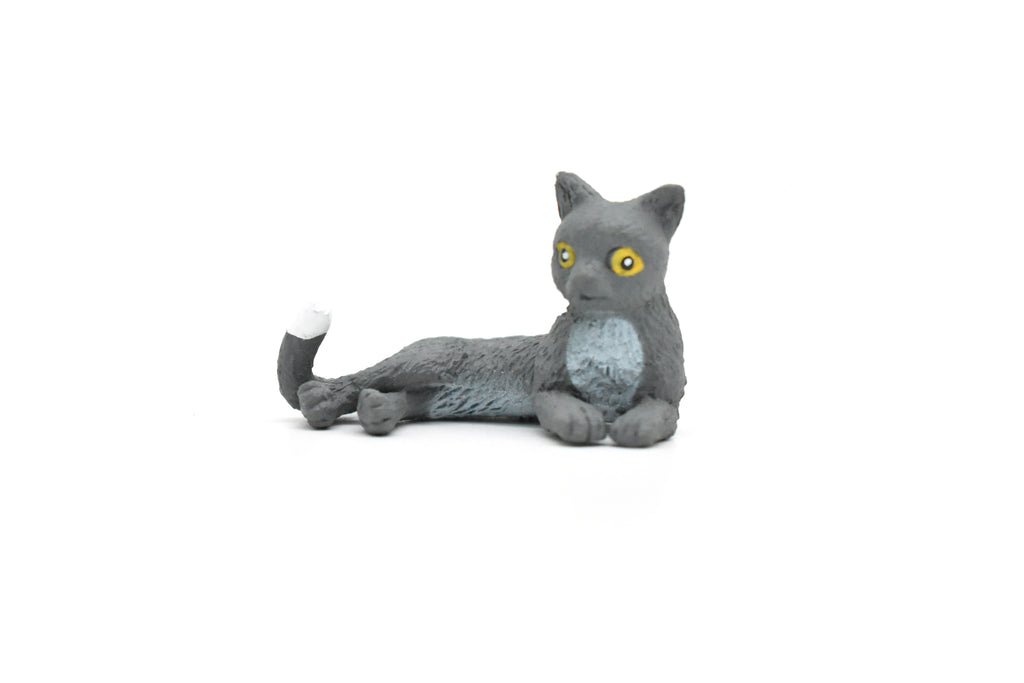 Domestic Gray Cat, Laying Down, Educational, Hand Painted, Realistic Cat Figure, Lifelike Model, Toy, Kids, Gift,     2 1/2 Inches.      CWG240 B306