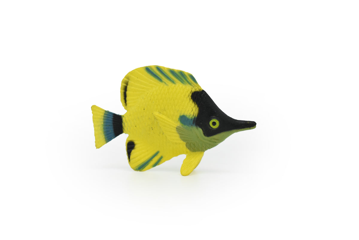 Butterflyfish, Tropical Fish, Chaetodontidae, Hand Painted, Realistic, Plastic Fish Design, Saltwater, Educational, Figure, Lifelike, Diorama Model, Toy, Gift,  2 Inches.     CWG269 B46