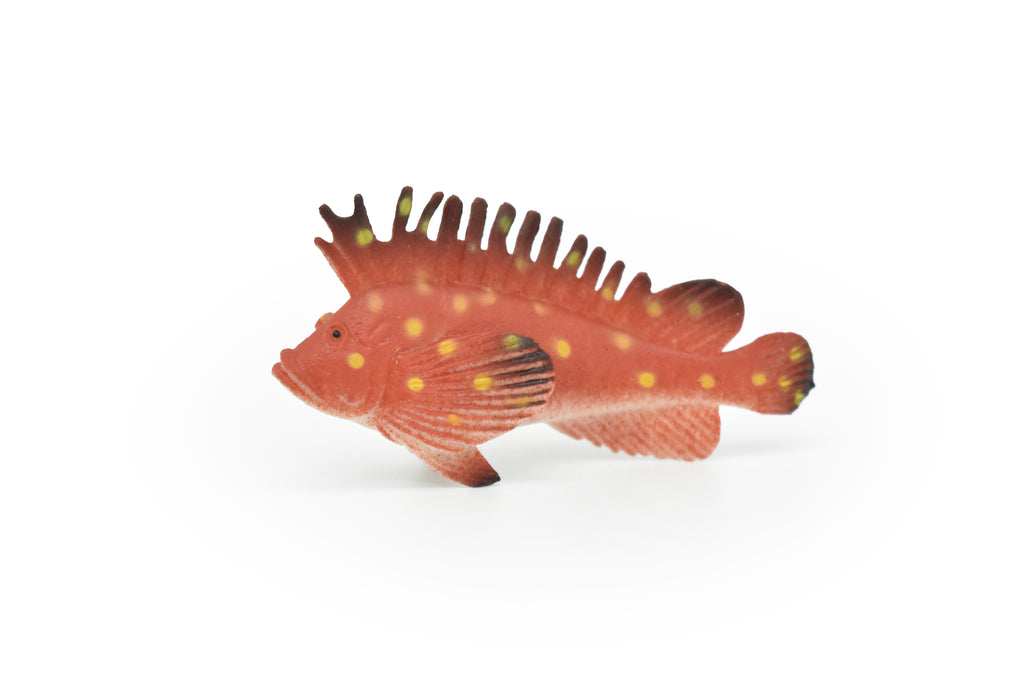 Spotted Kelpfish, Tropical Fish, Gibbonsia elegans, Hand Painted, Realistic, Plastic Fish Design, Saltwater, Educational, Figure, Lifelike, Diorama Model, Toy, Gift,  2 Inches.    CWG271 B46