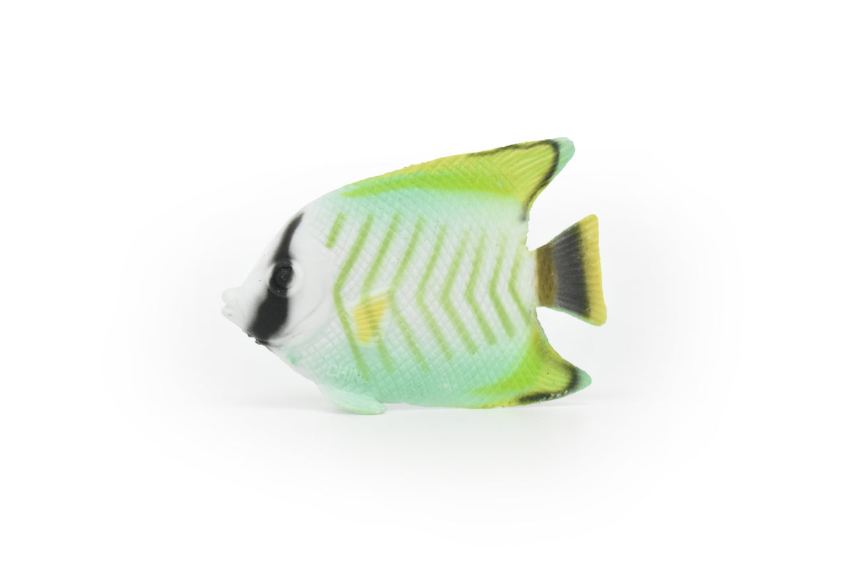 AngelFish, Tropical Fish, Pterophyllum, Ciclids, Hand Painted, Realistic, Plastic Fish Design, Saltwater, Educational, Figure, Lifelike, Diorama Model, Toy, Gift,  2 Inches.   CWG272 B46