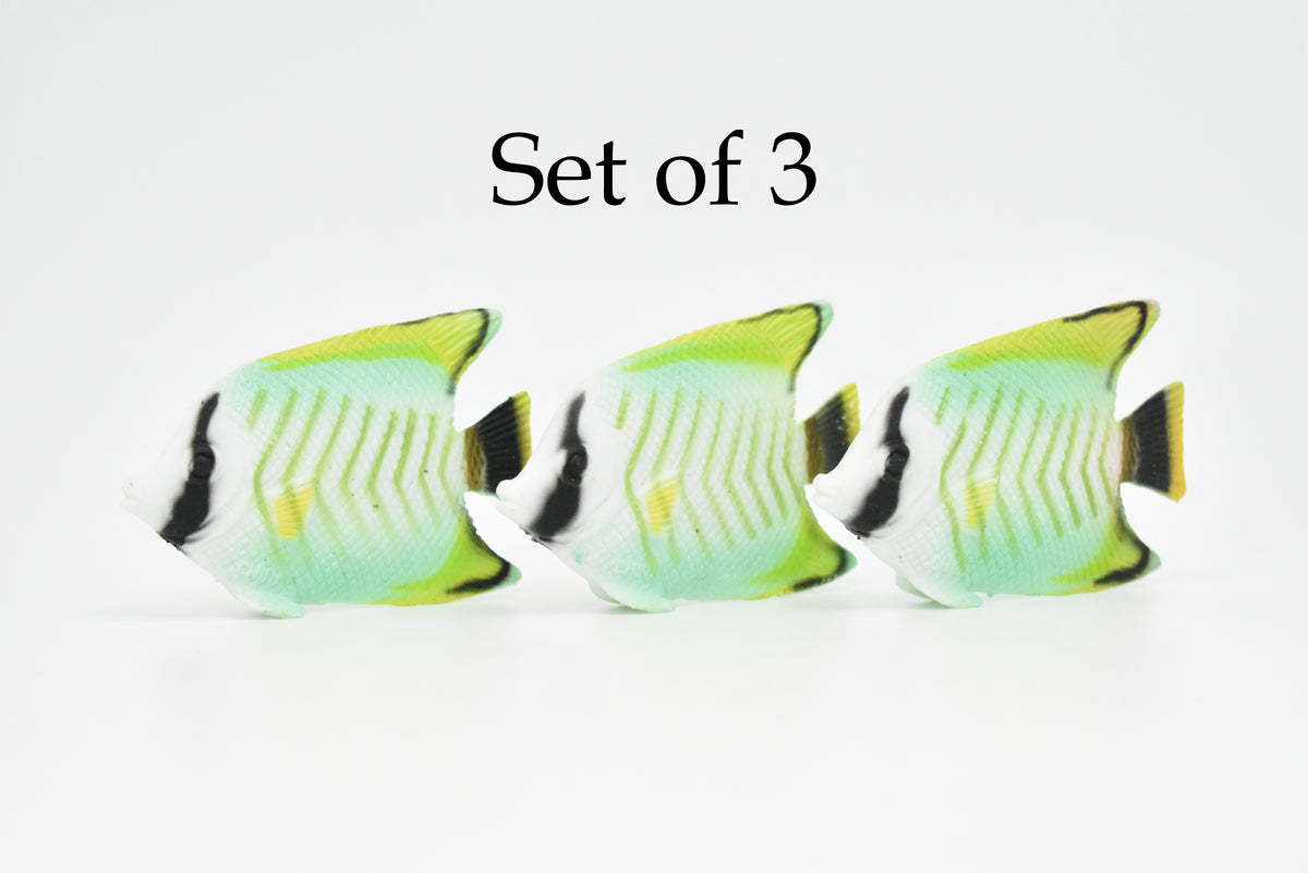 AngelFish, Tropical Fish, Pterophyllum, Ciclids, Hand Painted, Realistic, Plastic Fish Design, Saltwater, Educational, Figure, Lifelike, Diorama Model, Toy, Gift,  2 Inches.   CWG272 B46