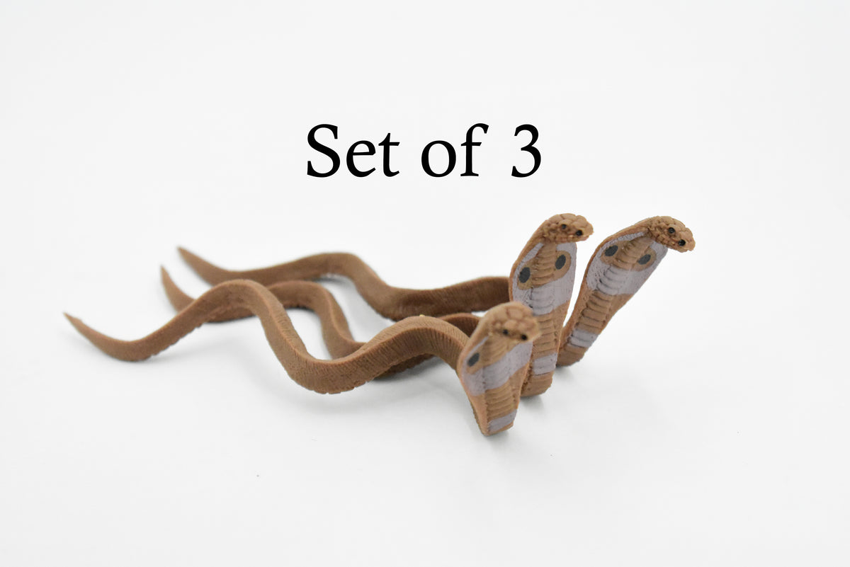 Snake, Common Indian Cobra, Rubber Reptile, Educational, Realistic Hand Painted, Figure, Lifelike Model, Figurine, Replica, Gift,    4"    F3455 B39
