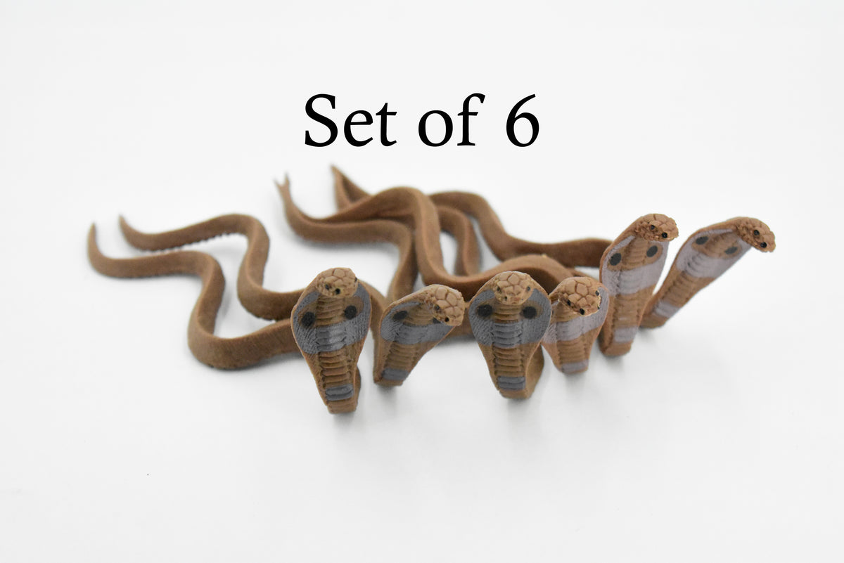 Snake, Common Indian Cobra, Rubber Reptile, Educational, Realistic Hand Painted, Figure, Lifelike Model, Figurine, Replica, Gift,    4"    F3455 B39