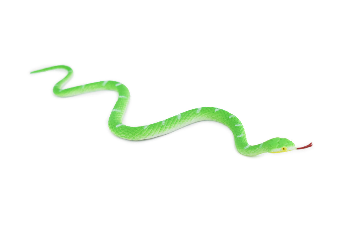 Snake, Bamboo and Mountain Pit Viper, Rubber Reptile, Educational, Realistic, Hand Painted, Figure, Lifelike Model, Figurine, Replica, Gift,    10"      F1734 B222