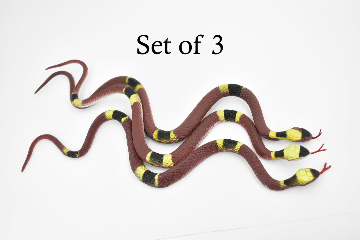 Banded Water Snake, Rubber Reptile, Educational, Realistic Hand Painted, Figure, Lifelike Model, Figurine, Replica, Toy, Gift,      10 Inches     F3597 B363