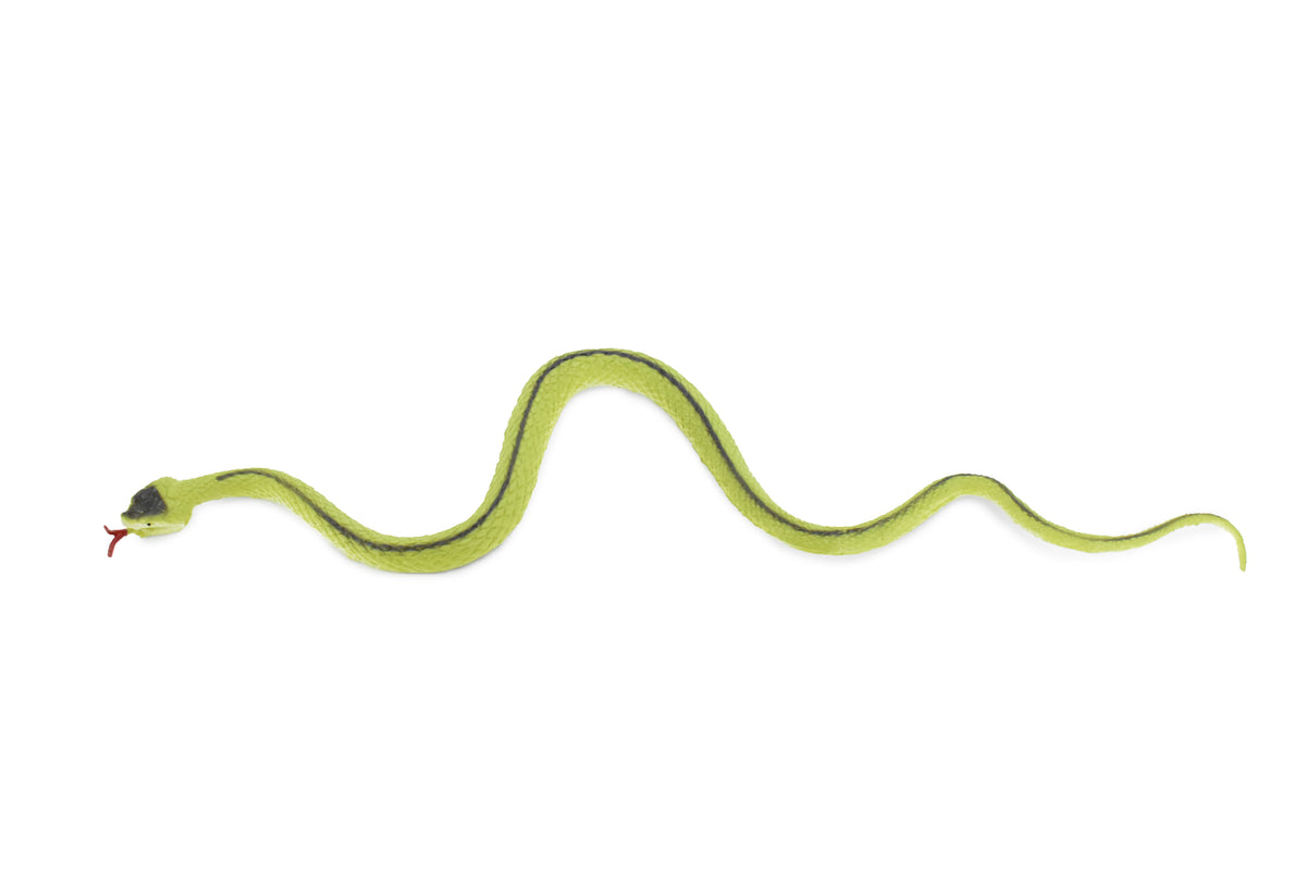 Green racer snake, Rubber Reptile, Educational, Realistic Hand Painted, Figure, Lifelike, Model, Figurine, Replica, Gift, Toy,     10 Inches     F3599 B363