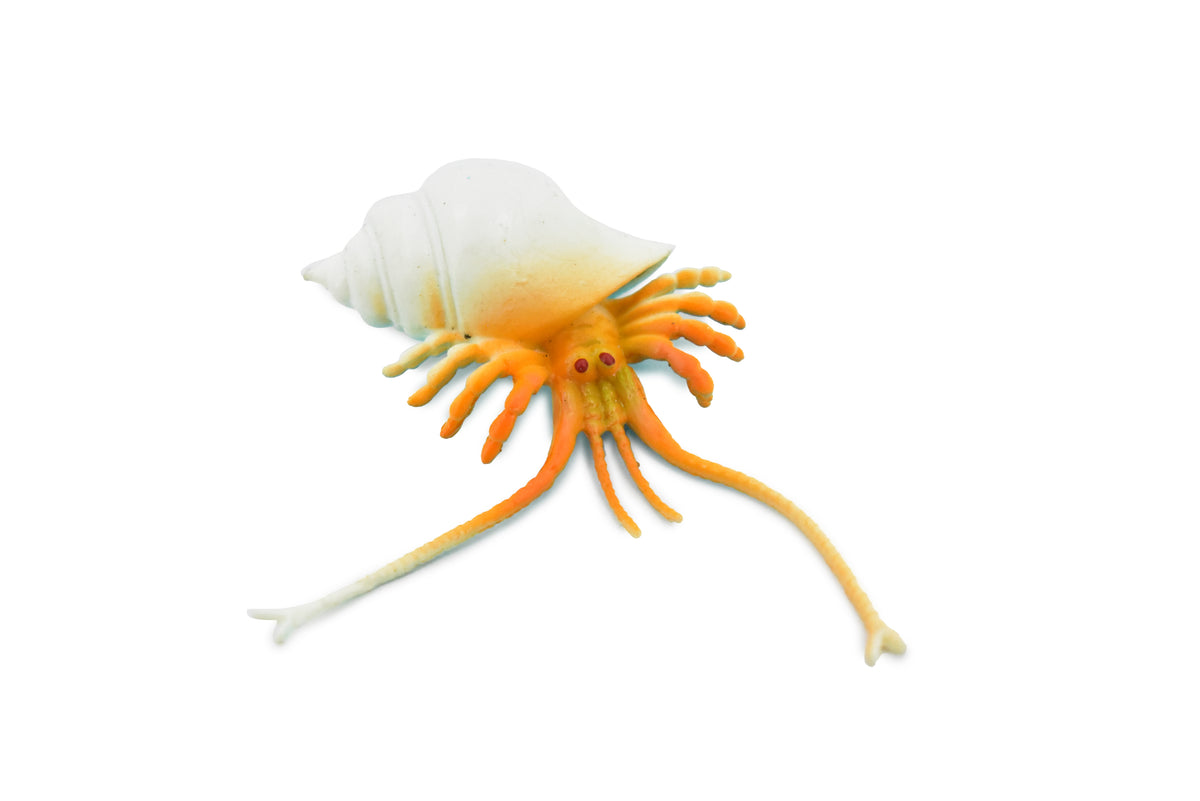 Crab, Hermit Crab, Plastic Crustaceans Design, Educational, Toy, Kids, Realistic Figure, Lifelike Model, Figurine, Replica, Gift,     2"      F595 B34
