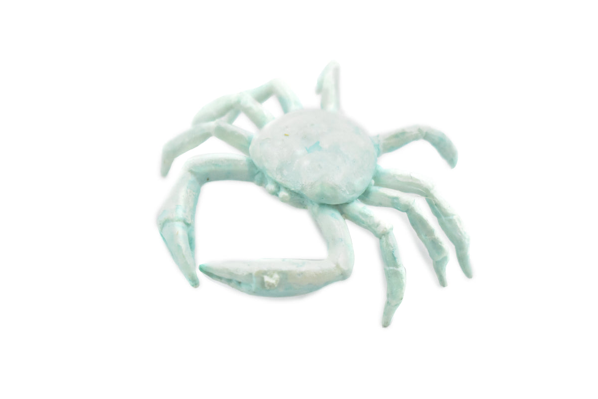 Crab, Cave, Rubber, Crustaceans, Educational, Realistic, Hand Painted, Figure, Lifelike Figurine, Replica, Gift,      2"      F764 B625