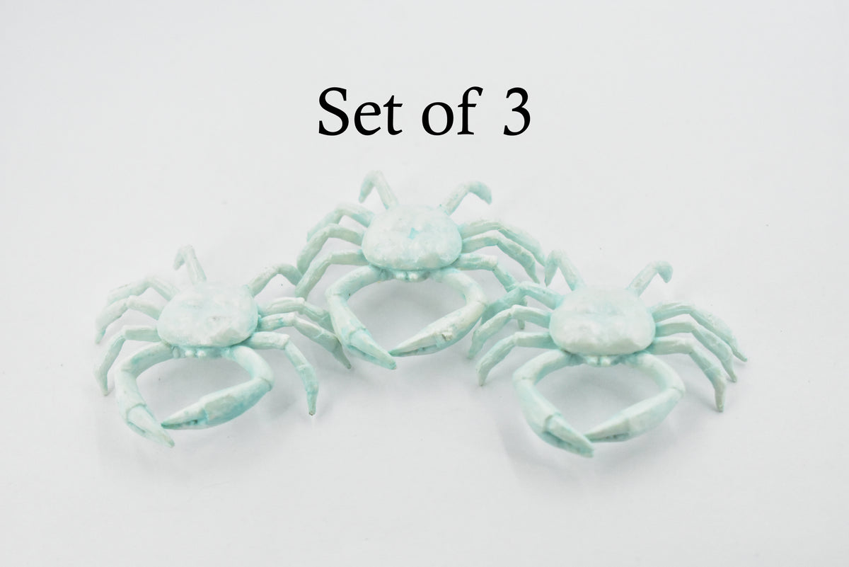 Crab, Cave, Rubber, Crustaceans, Educational, Realistic, Hand Painted, Figure, Lifelike Figurine, Replica, Gift,      2"      F764 B625