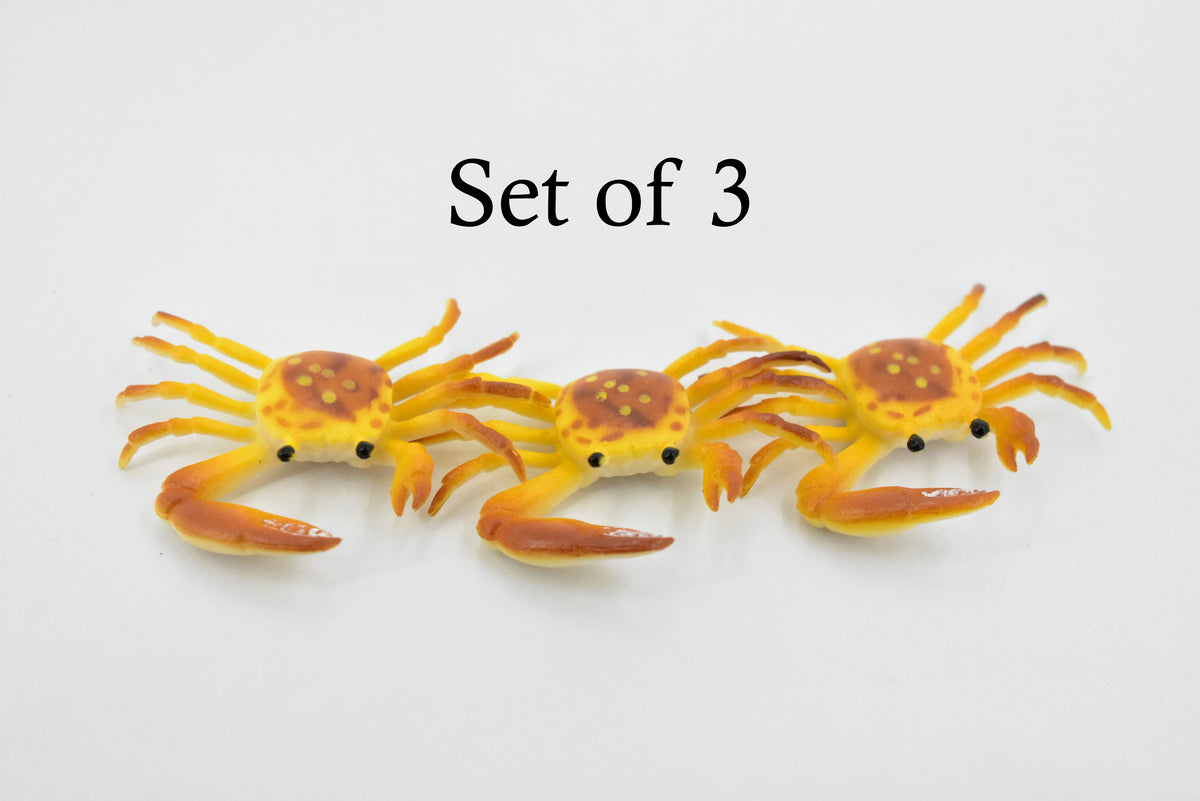 Crab, Fiddler Crab, Rubber, Crustaceans, Educational, Realistic, Hand Painted, Figure, Lifelike Figurine, Replica, Gift,       2"         F935 B157