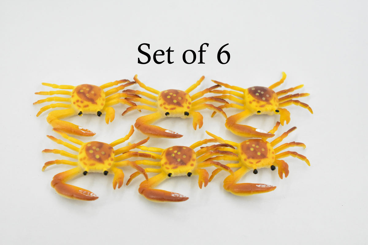 Crab, Fiddler Crab, Rubber, Crustaceans, Educational, Realistic, Hand Painted, Figure, Lifelike Figurine, Replica, Gift,       2"         F935 B157