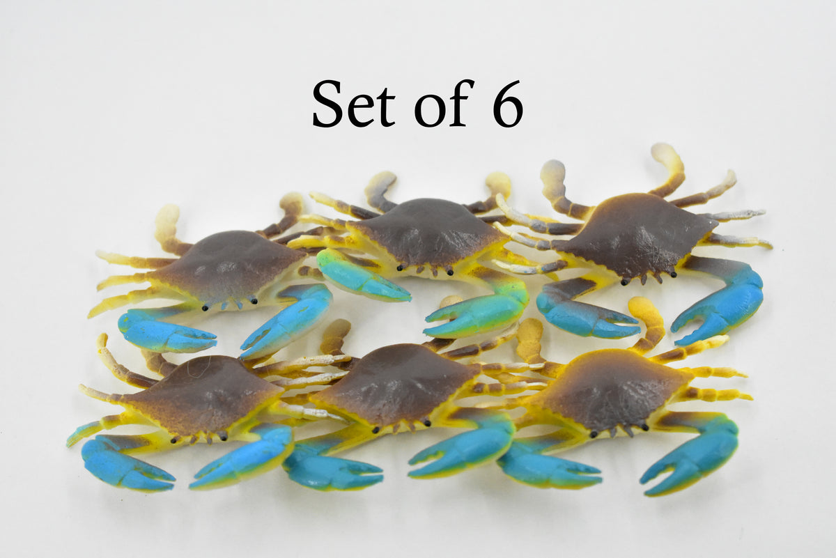 Crab, Blue Crab, Rubber, Crustaceans, Educational, Realistic, Hand Painted, Figure, Lifelike Figurine, Replica, Gift,     2"      F937 B157