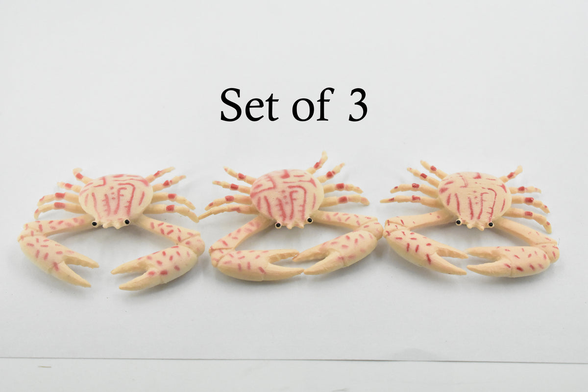 Crab, Purple Globe Crab, Rubber, Crustaceans, Educational, Realistic, Hand Painted, Figure, Lifelike Figurine, Replica, Gift,        2"     F939 B157