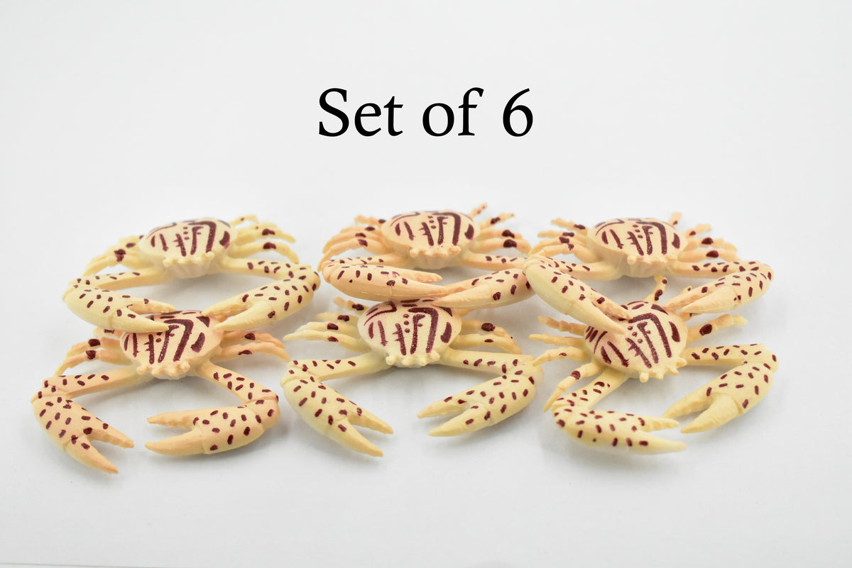 Crab, Purple Globe Crab, Rubber, Crustaceans, Educational, Realistic, Hand Painted, Figure, Lifelike Figurine, Replica, Gift,         2"   F940 B157
