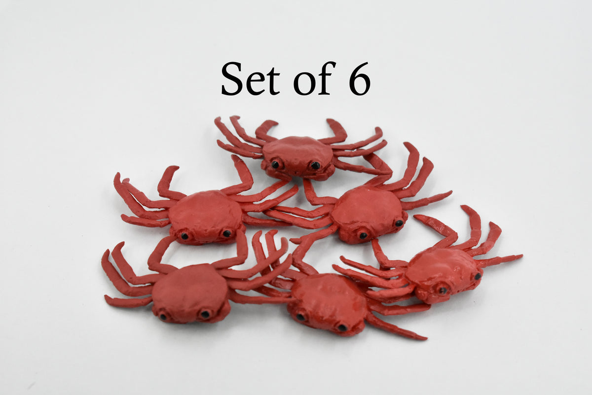 Crab, Sally Lightfoot Crab, Rubber, Crustaceans, Educational, Realistic, Hand Painted, Figure, Lifelike Figurine, Replica, Gift,            2 1/2"       F1519 B150