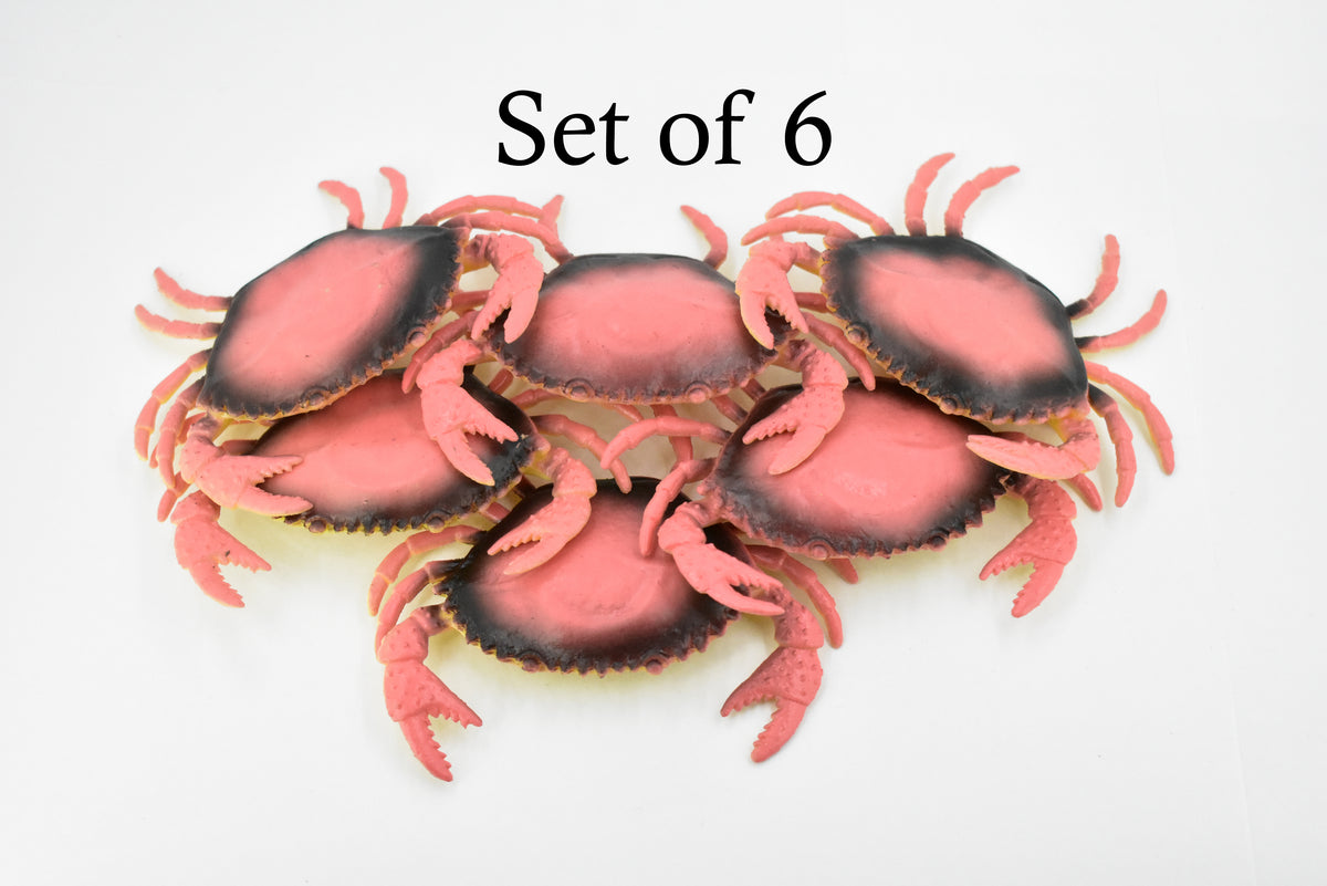 Crab, Dungeness Crab, Rubber, Crustaceans, Educational, Realistic, Hand Painted, Figure, Lifelike Figurine, Replica, Gift,        3 1/2"     F6001 B378