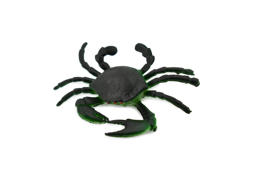 Mud Crab, Saltwater, Rock Crab, Rubber, Crustacean Design, Educational, Hand Painted, Figure, Lifelike, Model, Replica, Gift      2 1/2"       F589 B34