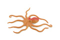 Octopus, Octopuses, Rubber, Octopodes, Educational, Realistic Hand Painted, Figure, Lifelike Figurine, Replica, Gift,      5"      F6005 B377