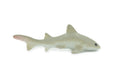 Short-tail nurse shark, High Quality Rubber, Fish Design, Hand Painted, Educational, Realistic, Diorama Figure, Model, Replica,  Gift,      3 Inches.   IM07 B228