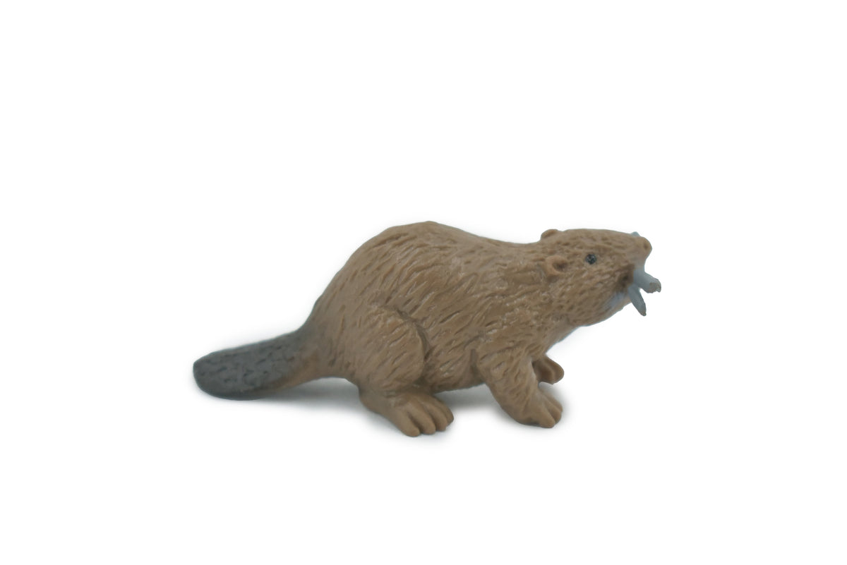 Beaver, Brown Castor, Very Nice Rubber Animal, Educational, Realistic Figure, Lifelike Model, Figurine, Toy, Kids,  Gift,    2 1/4 Inches.      F3534 B138
