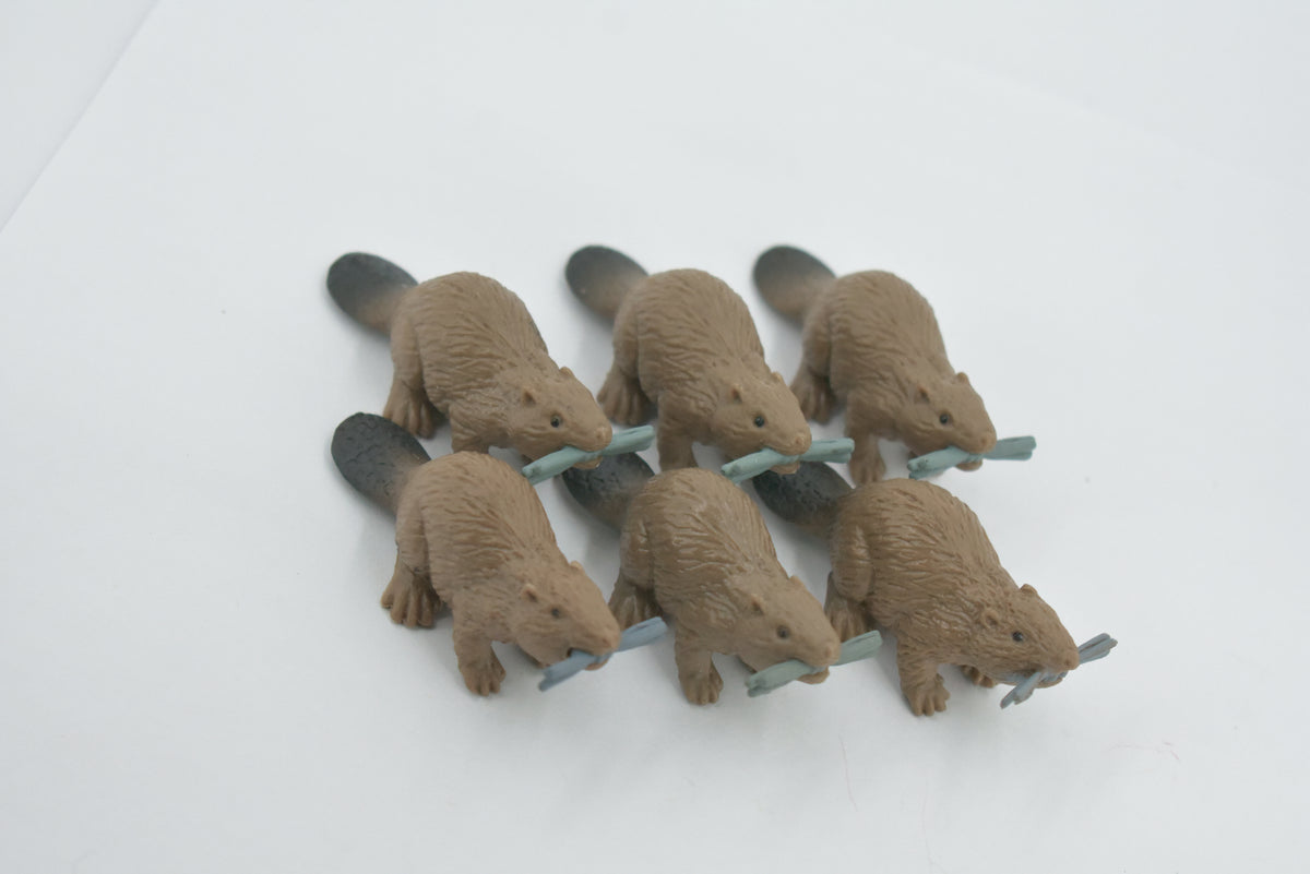 Beaver, Brown Castor, Very Nice Rubber Animal, Educational, Realistic Figure, Lifelike Model, Figurine, Toy, Kids,  Gift,    2 1/4 Inches.      F3534 B138