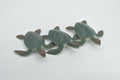 Sea Turtle, Two Tone Color, High Quality, Hand Painted, Rubber Reptile, Realistic, Figure, Model, Toy, Kids, Educational, Gift,     3"   F0024 B22