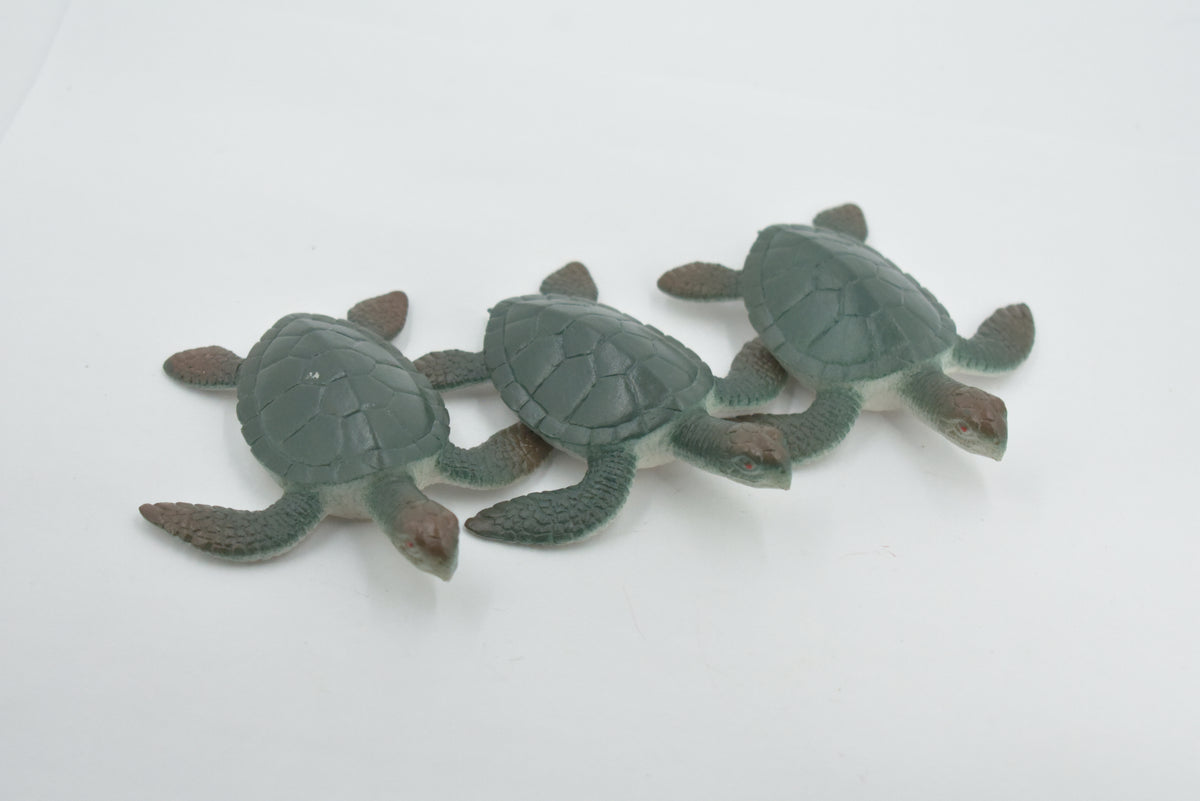 Sea Turtle, Two Tone Color, High Quality, Hand Painted, Rubber Reptile, Realistic, Figure, Model, Toy, Kids, Educational, Gift,     3"   F0024 B22