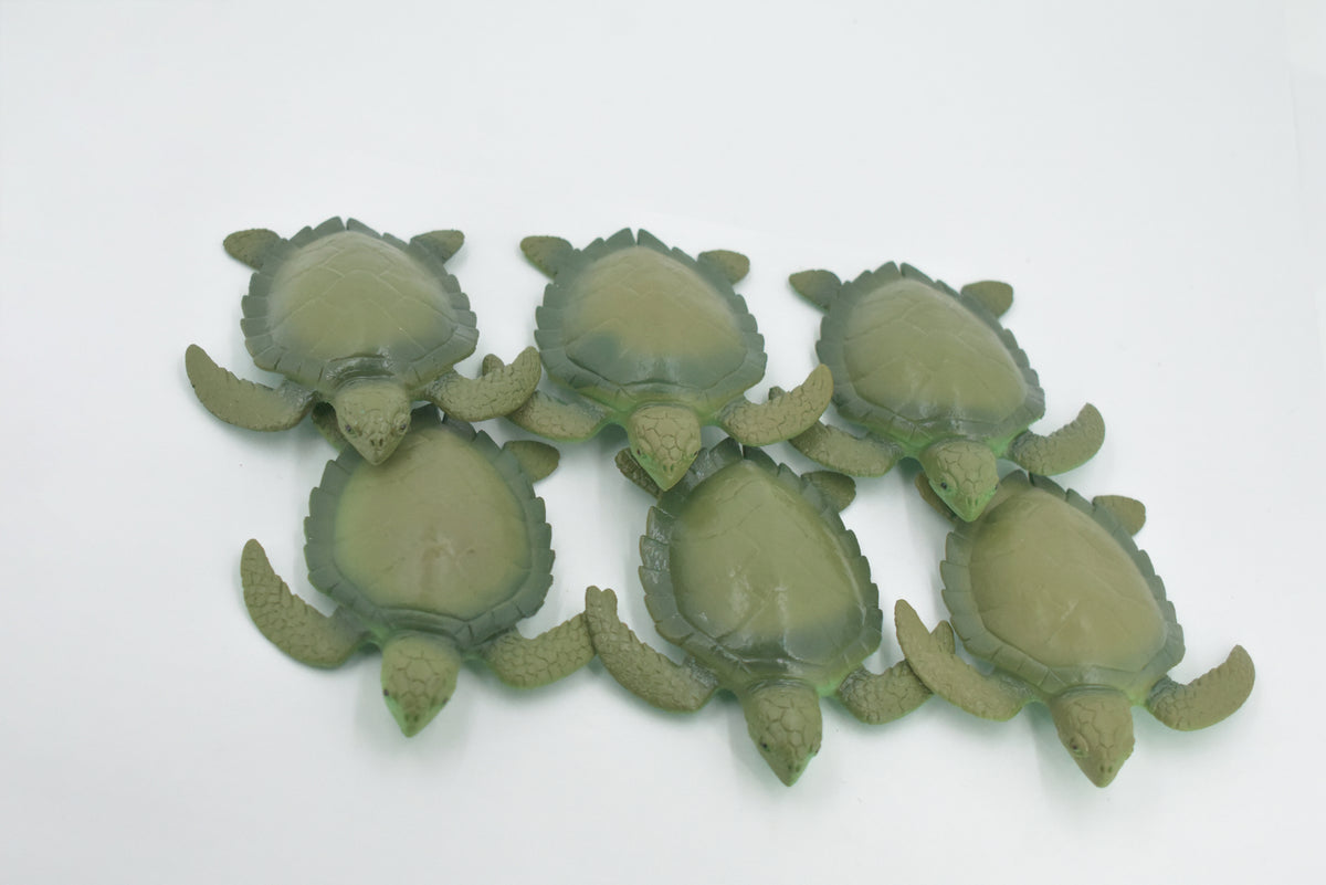 Sea Turtle, Two Tone Color, High Quality, Hand Painted, Rubber Reptile, Realistic, Figure, Model, Toy, Kids, Educational, Gift,     3 3/4"      F6003 B377