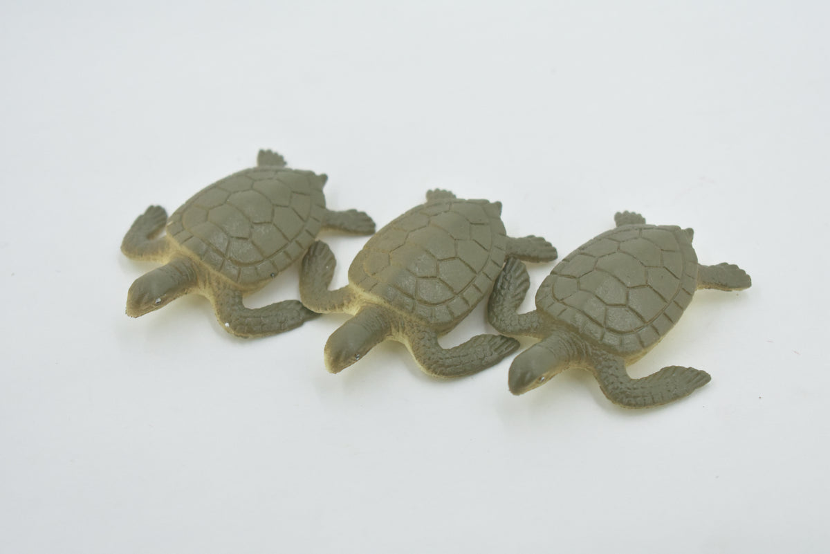 Sea Turtle, Hatchling, Plastic Design, Realistic, Figure, Reptile, Educational, Lifelike, Model, Figurine, Replica, Toy, Kids, Gift,      2"       F0039 B123