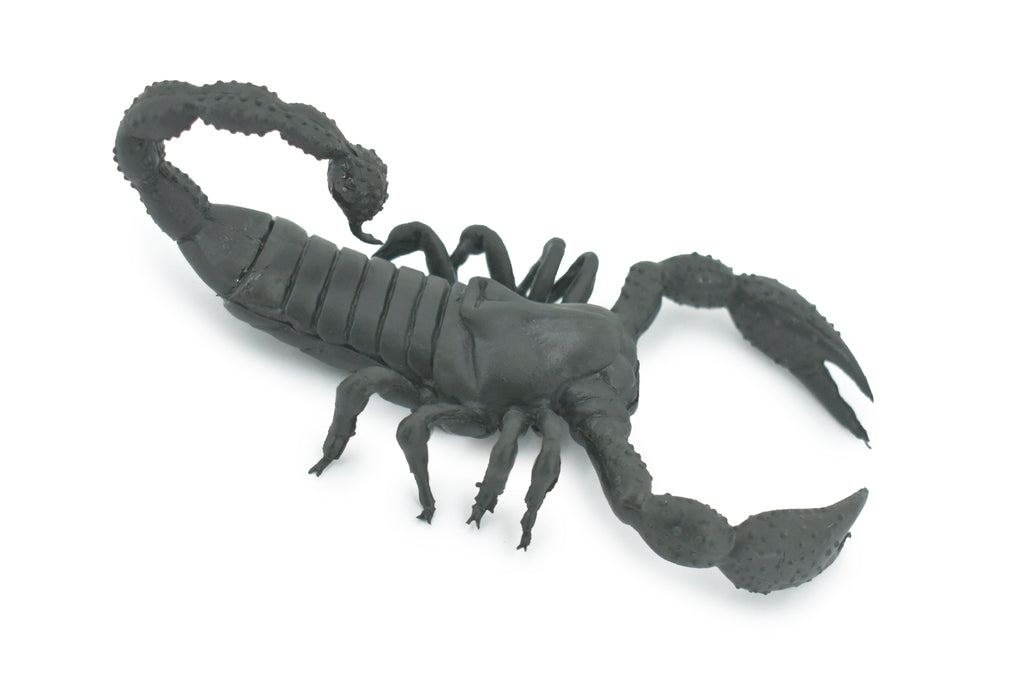 Scorpion, Black, Solid Rubber, Arachnids, Realistic, Figure, Model, Replica, Toy, Kids, Educational, Gift,           7"        F1974 B210
