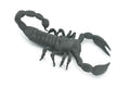 Scorpion, Black, Solid Rubber, Arachnids, Realistic, Figure, Model, Replica, Toy, Kids, Educational, Gift,           7"        F1974 B210