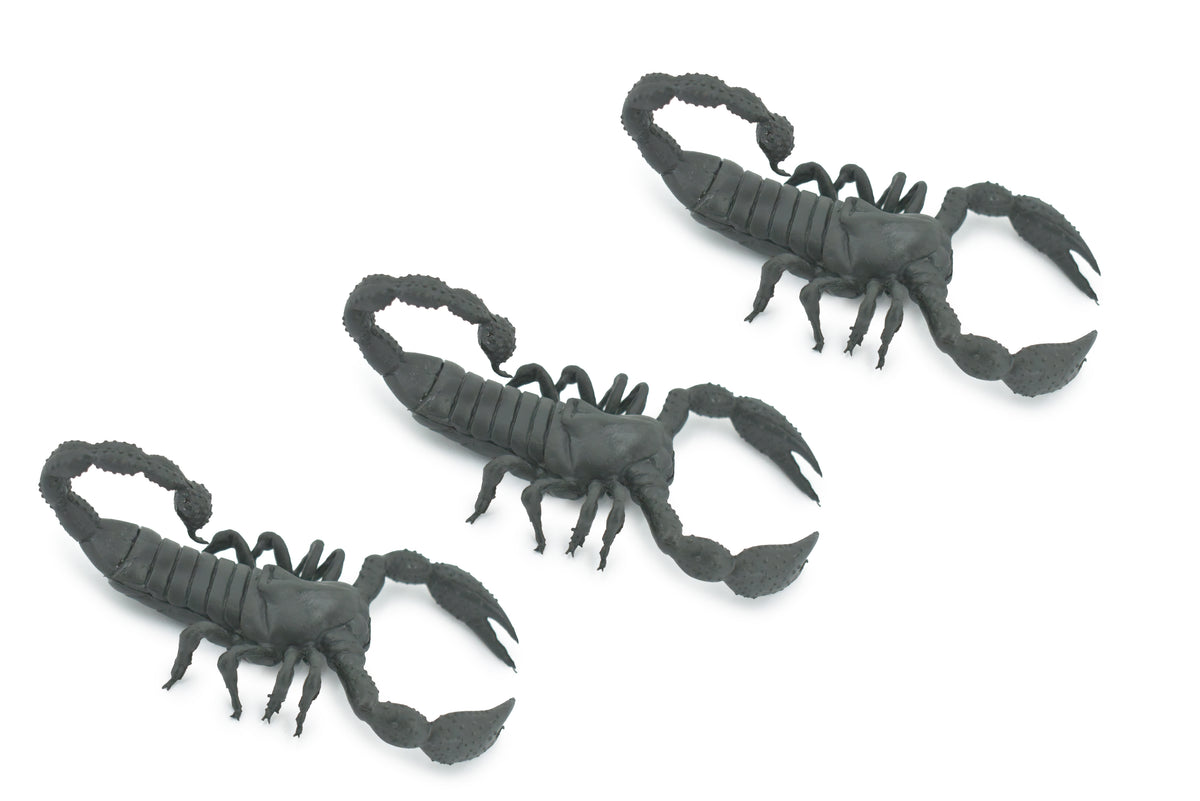 Scorpion, Black, Solid Rubber, Arachnids, Realistic, Figure, Model, Replica, Toy, Kids, Educational, Gift,           7"        F1974 B210