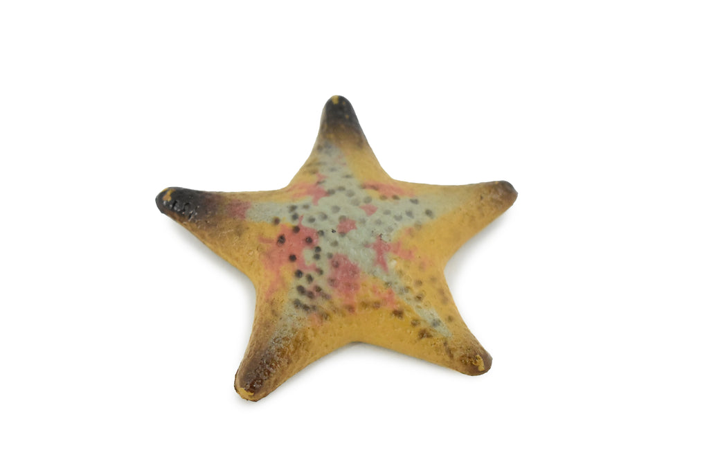 Starfish, Sea Star, echinoderms,  Edmond's, Ocean, Sea Life, Plastic Figure, Model, Realistic Replica, Educational, Figurine, Animal, Life Like, Gift,      2 1/4"       F926 B158