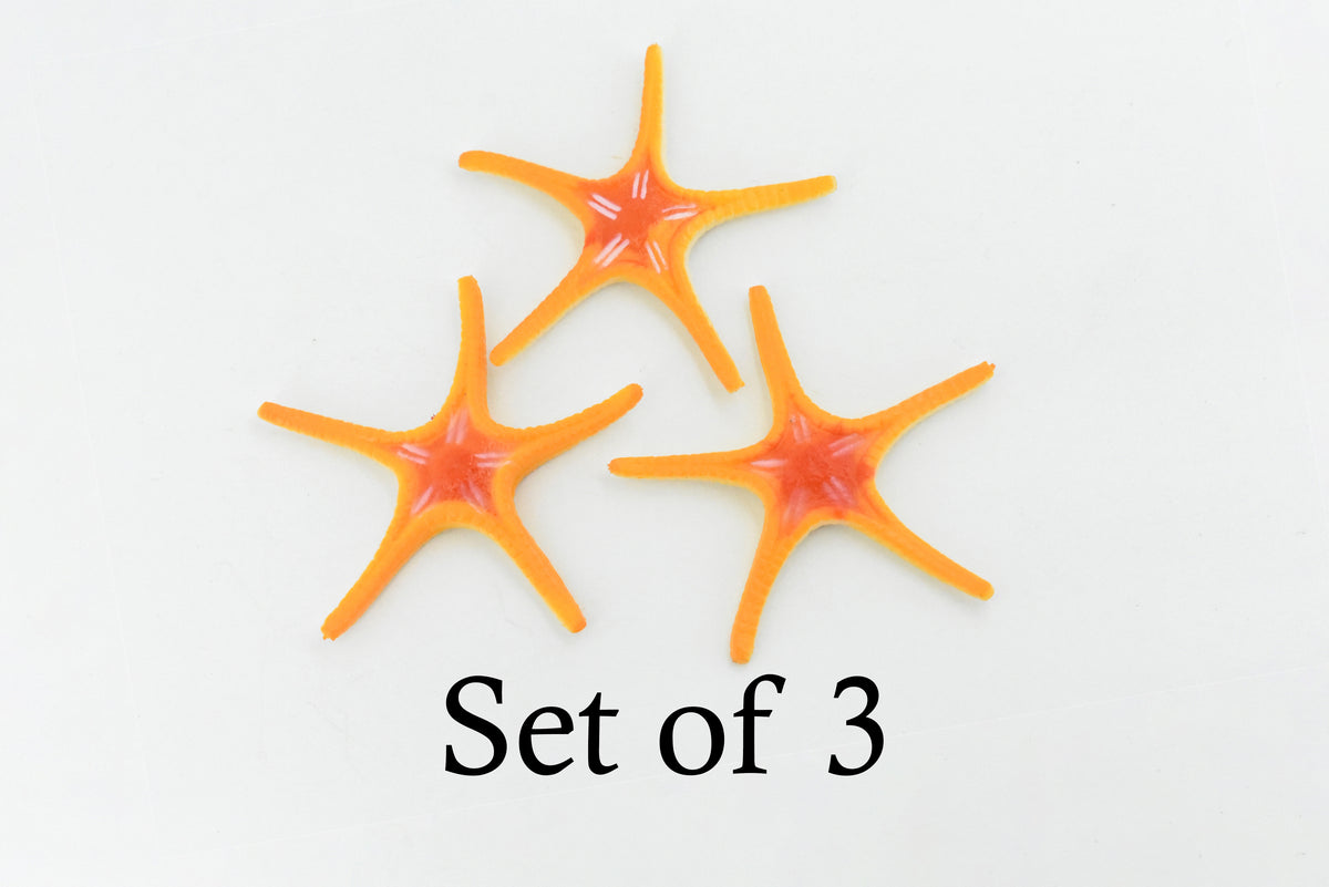 Starfish,  Ross, Sea Star, Echinoderms, Asteroidea, Ocean, Sea Life, Plastic, Model, Realistic Replica, Educational Toy, Figurine, Life Like, Gift,      2 1/4"    F927 B158