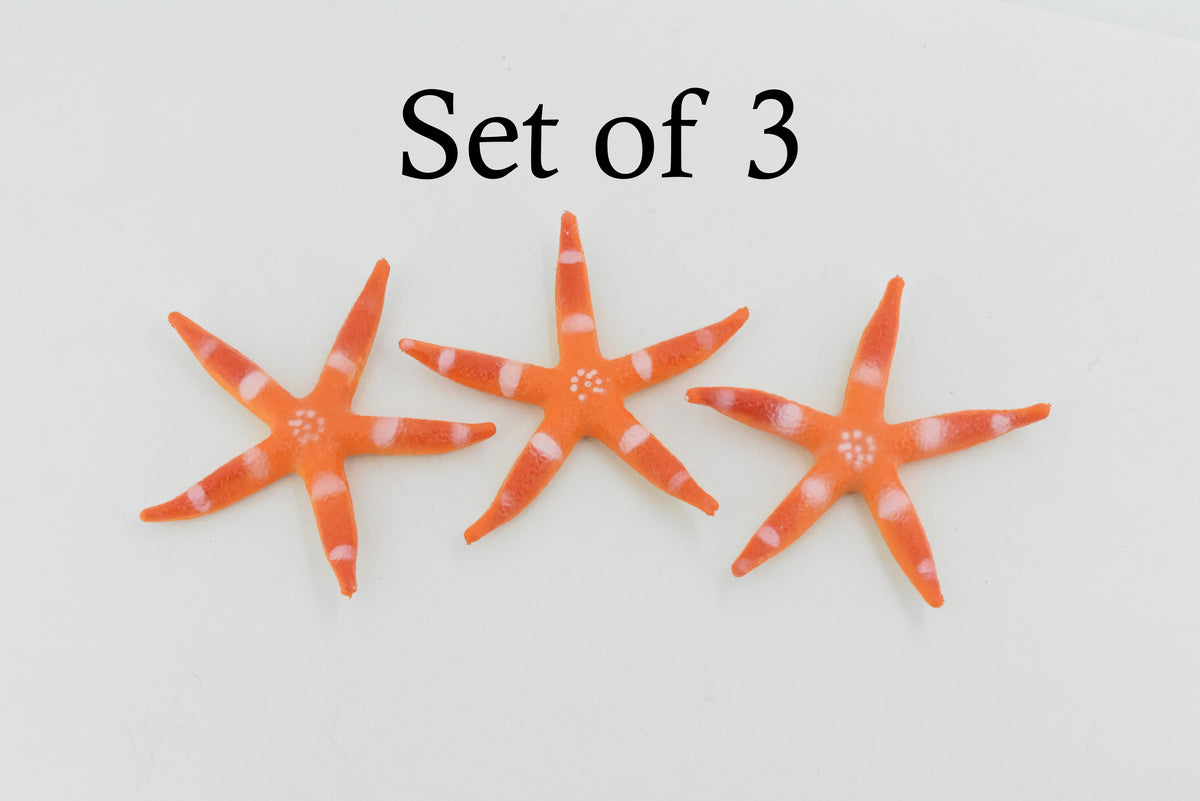 Starfish, Sea Star, Echinoderms,  Asteroidea, Ocean, Sea Life, Plastic Figure, Model, Realistic Replica, Educational, Figurine, Animal, Life Like, Gift,     2 "     F931 B158