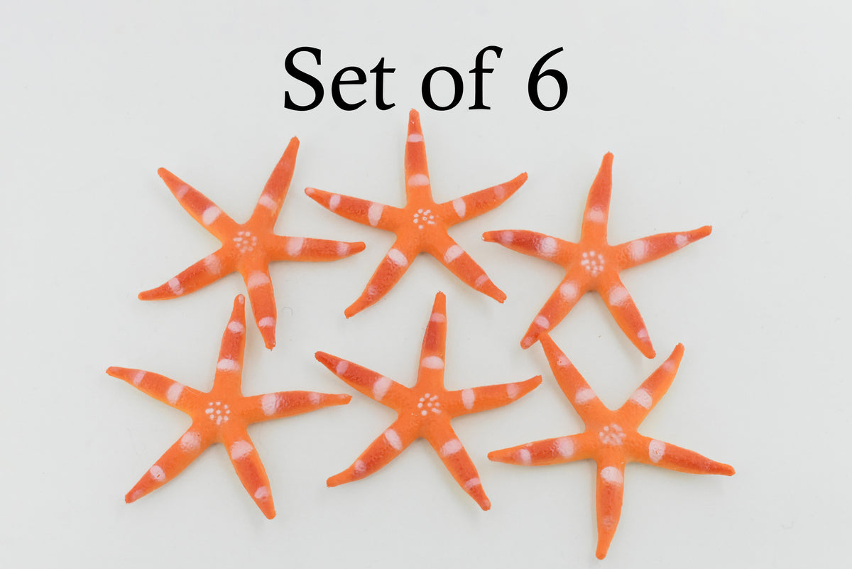 Starfish, Sea Star, Echinoderms,  Asteroidea, Ocean, Sea Life, Plastic Figure, Model, Realistic Replica, Educational, Figurine, Animal, Life Like, Gift,     2 "     F931 B158