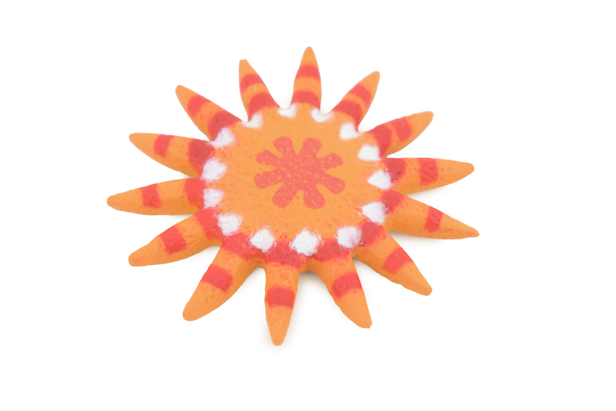 Starfish, Sunflower Sea Star, Echinoderms, Asteroidea, Ocean, Sea Life, Plastic Figure, Model, Realistic Replica, Educational Toy, Life Like, Gift,      2"     F932 B158