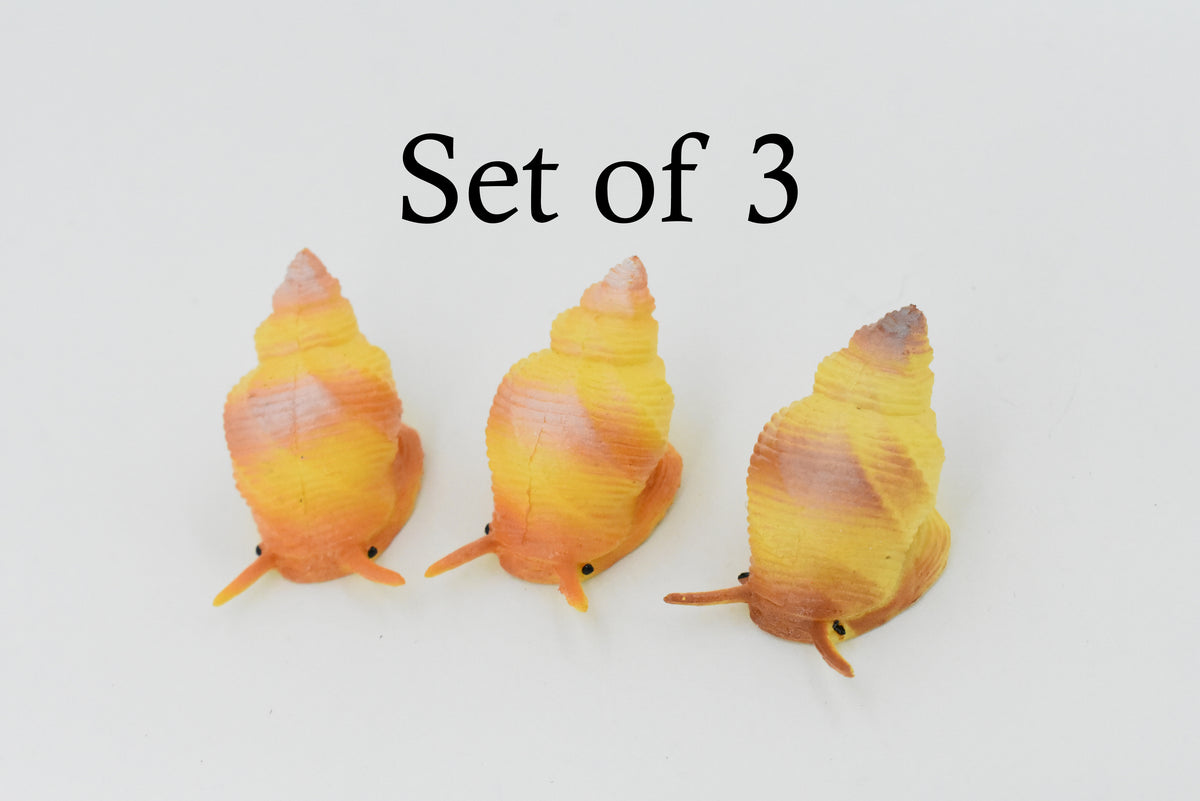 Whelk Shell, Carnivorous Sea Snail, Ocean, Sea Life, Plastic Figure, Model, Realistic Replica, Educational, Figurine, Animal, Life Like, Gift,    1 1/4"   F1147 B164