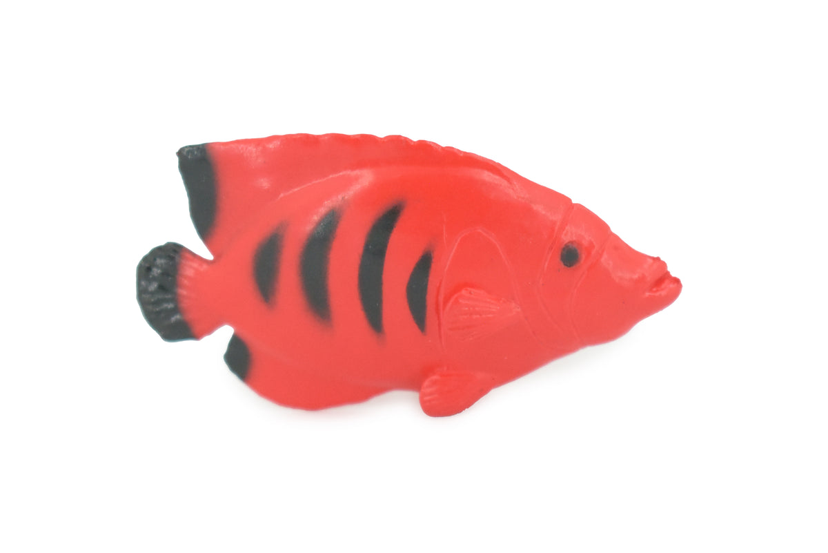 Angelfish, Flame Angel Fish, Tropical, Rubber Fish Design, Realistic Figure, Educational, Figure, Lifelike, Toy Model, Figurine, Replica, Gift,       2 1/4"      F1786 B145