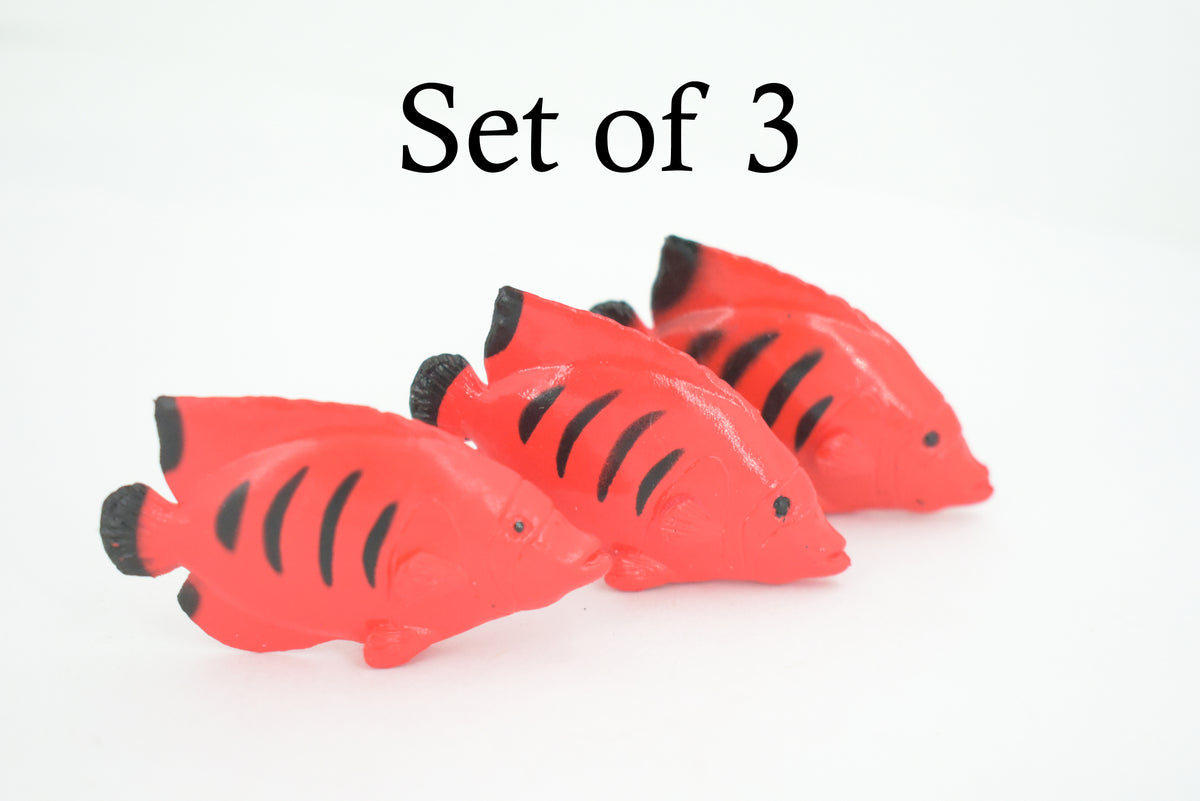 Angelfish, Flame Angel Fish, Tropical, Rubber Fish Design, Realistic Figure, Educational, Figure, Lifelike, Toy Model, Figurine, Replica, Gift,       2 1/4"      F1786 B145