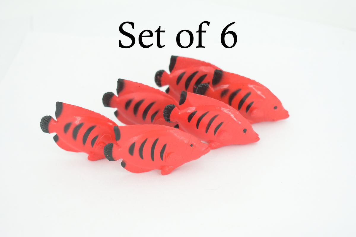 Angelfish, Flame Angel Fish, Tropical, Rubber Fish Design, Realistic Figure, Educational, Figure, Lifelike, Toy Model, Figurine, Replica, Gift,       2 1/4"      F1786 B145