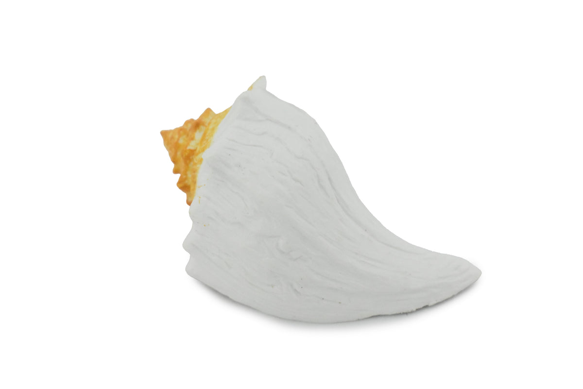 Whelk Shell, Carnivorous Sea Snail, Ocean, Sea Life, Plastic Figure, Model, Realistic Replica, Educational, Figurine, Animal, Life Like, Gift,   2 3/4"    F4108 B96