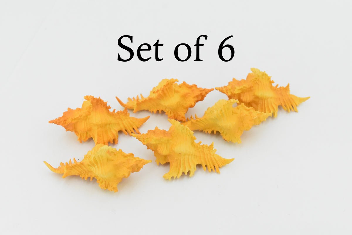 Murex Shell, Sea Snell,  Pantone Color, Ocean, Sea Life, Plastic Figure, Model, Realistic Replica, Educational, Figurine, Animal, Life Like, Gift,      2"      F4114 B96