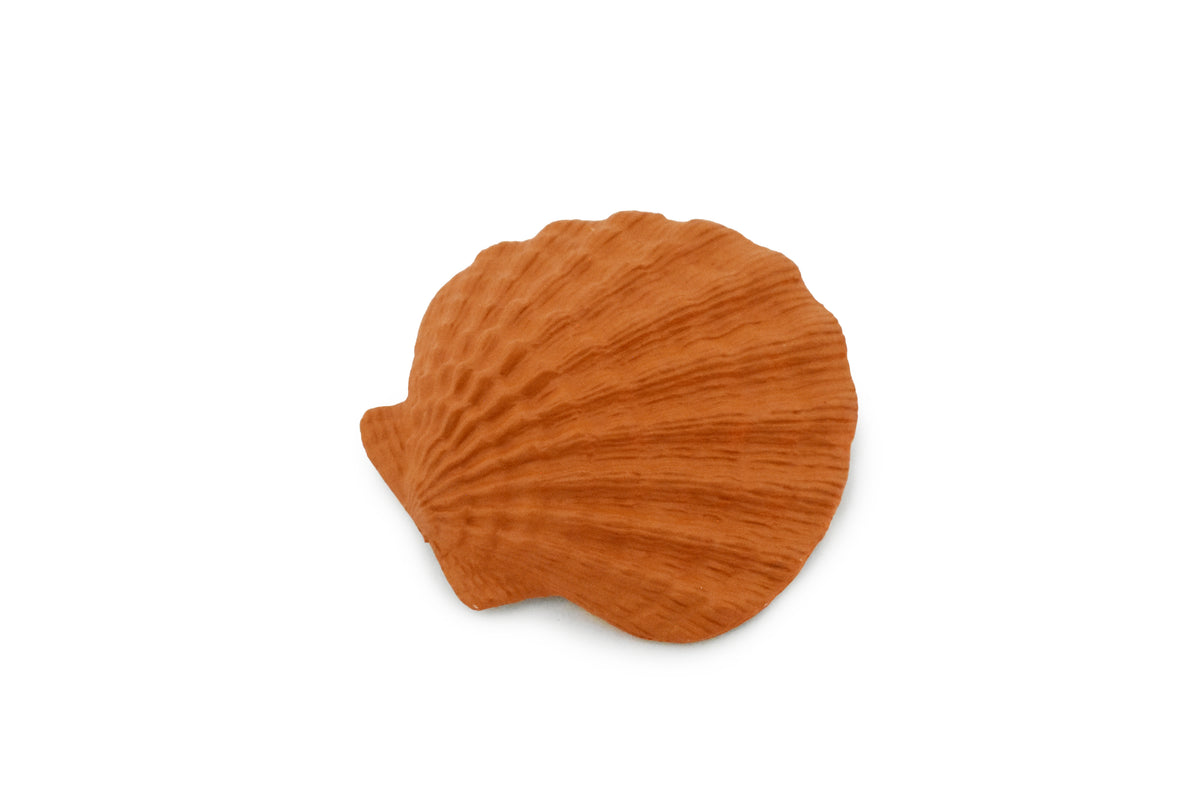 Scallop Shell, Lion's Paw, Orange Shell, Ocean, Sea Life, Plastic Figure, Model, Realistic Replica, Educational, Figurine, Animal, Life Like, Gift,    1 3/4"      F4115 B96