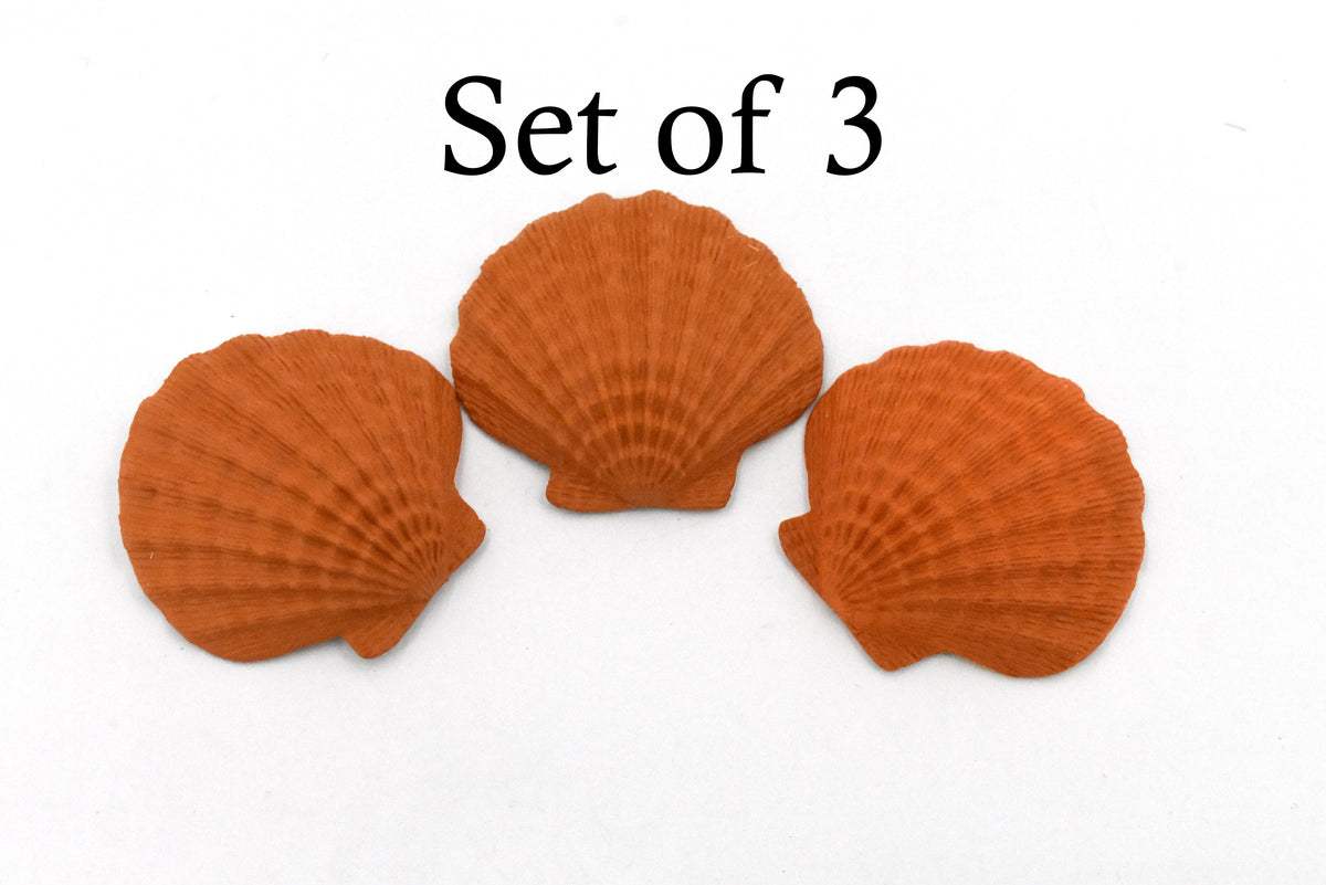 Scallop Shell, Lion's Paw, Orange Shell, Ocean, Sea Life, Plastic Figure, Model, Realistic Replica, Educational, Figurine, Animal, Life Like, Gift,    1 3/4"      F4115 B96
