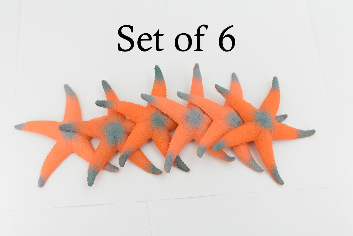 Starfish, Orange Sea Star, Ocean, Sea Life, Plastic Figure, Model, Realistic Replica, Educational, Figurine, Animal, Life Like, Gift,     4"    F6019 B378