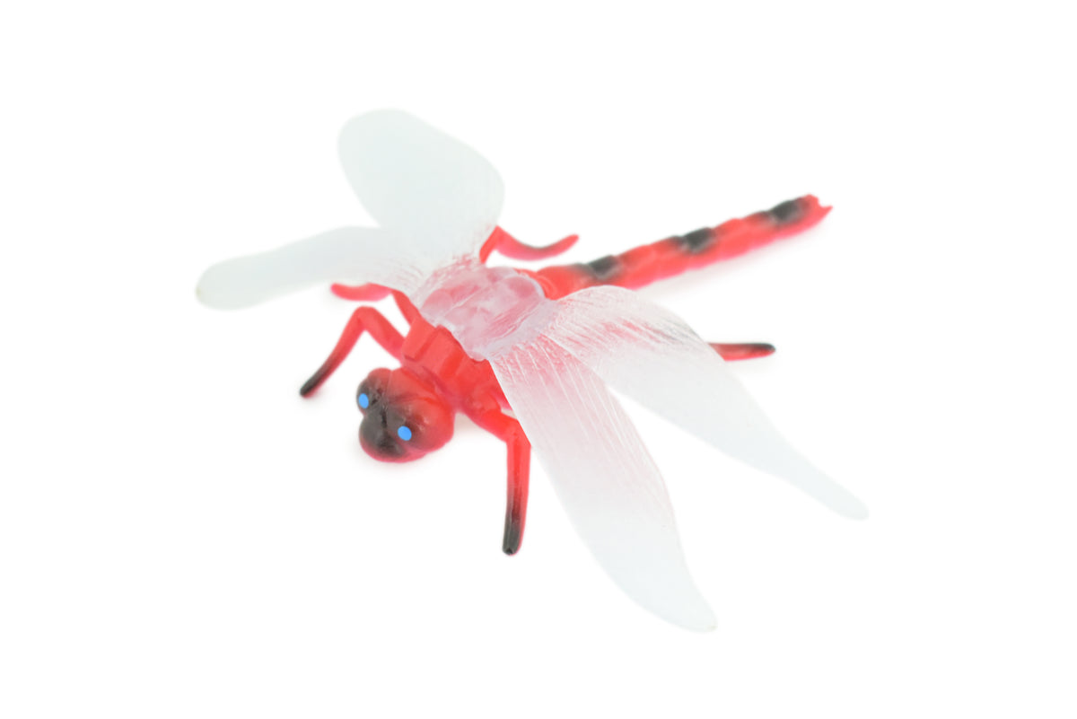 Dragon Fly, Red-veined Darter Dragonfly, Rubber Insect, Educational, Toy, Kids, Realistic Figure, Lifelike Model, Figurine, Replica, Gift,      5"    ABC13 B263