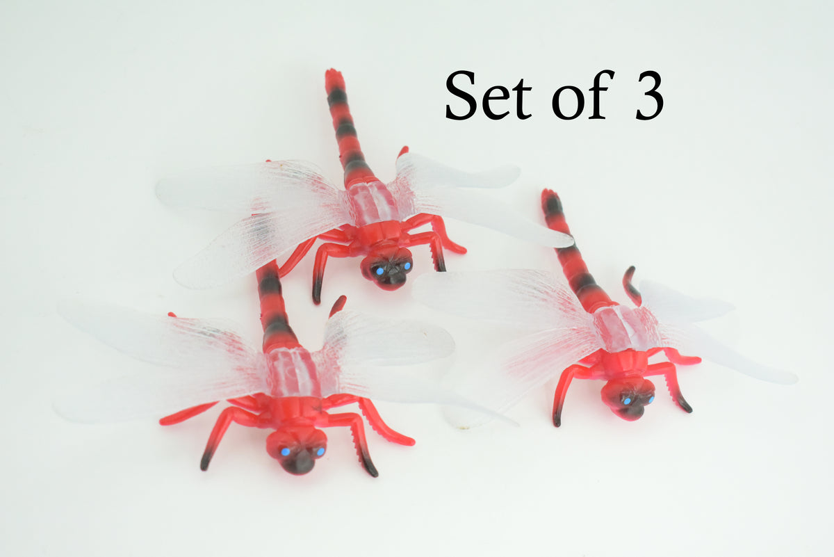 Dragon Fly, Red-veined Darter Dragonfly, Rubber Insect, Educational, Toy, Kids, Realistic Figure, Lifelike Model, Figurine, Replica, Gift,      5"    ABC13 B263