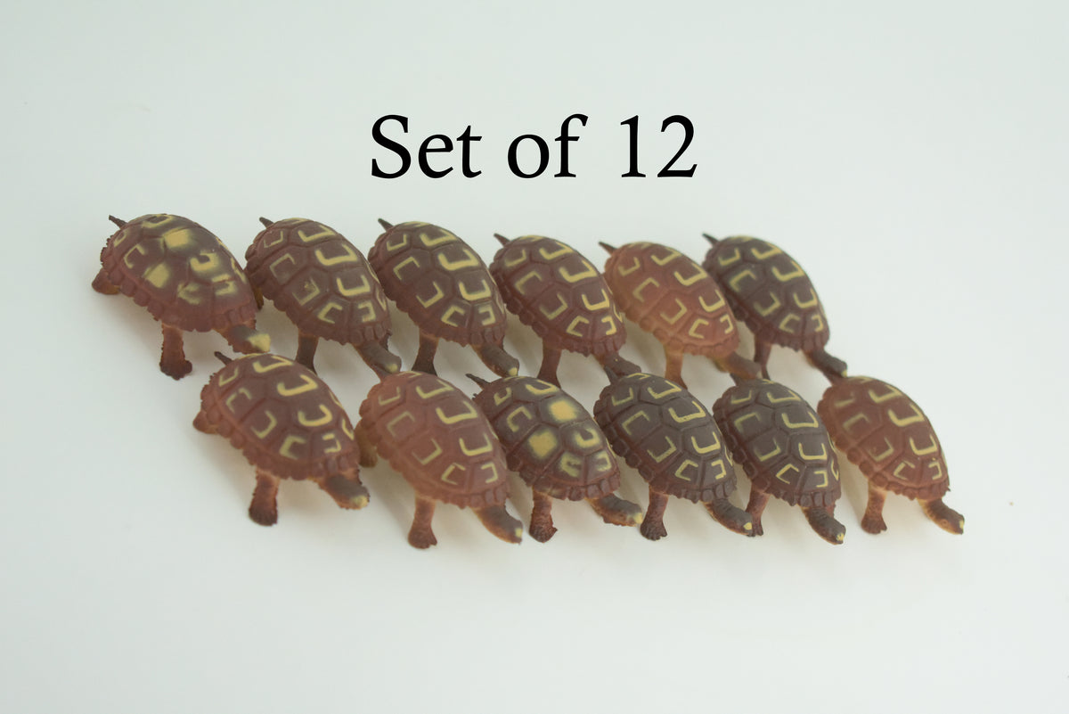 Tortoise, Turtle, Box Turtle, Rubber Reptile, Educational, Realistic, Hand Painted, Figure, Lifelike Model, Figurine, Replica, Gift,     2 Inches.      F427A B311